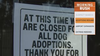 Dog adoptions resume at Collin County Animal Services