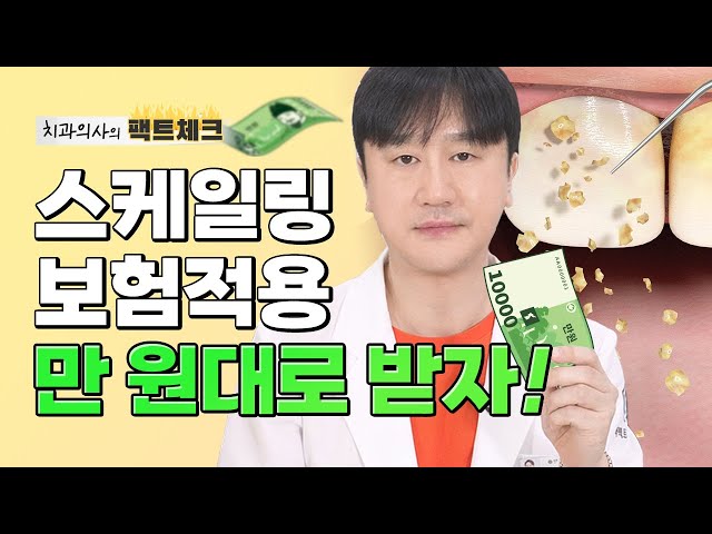 스케일링 연 1회 보험 비용/주기/주의사항