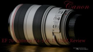 Canon EF 70-300mm F/4-5.6L IS USM Long Term Review Canon EF 70-300mm F/4-5.6L IS USM Long Term Review