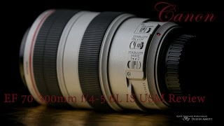 Canon EF 70-300mm f/4-5.6L IS USM  Long Term Review