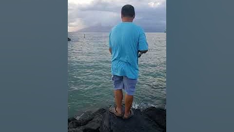 Câu cá phèn ỡ hawaii giật mỗi tay p1