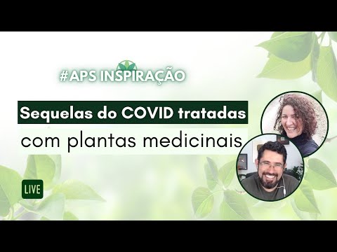 Vídeo: Aralia Manchu - Propriedades Medicinais, Aplicativo E Receitas Para O Tratamento De Aralia Manchu