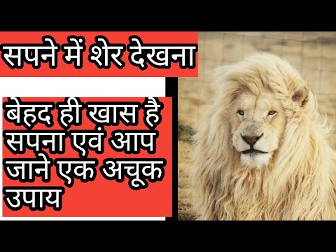 वीडियो: शेर क्यों सपना देख रहा है