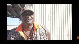 Honeycombbrazy.....vs....honeycomb Jr