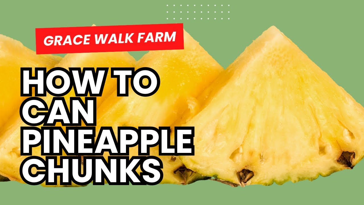 How to Can Pineapple Chunks - Easy Beginner Canning Project - YouTube
