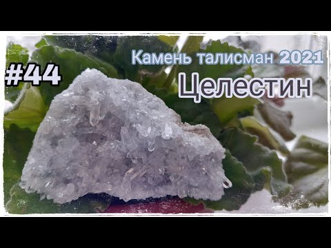 ЦЕЛЕСТИН☁️☄️ КАМЕНЬ ТАЛИСМАН 2021 ГОДА👼🏻 Год Металлического быка🐮 #43🌠