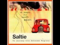 Saltie(ソルティー) 「水のうた,月の夜」