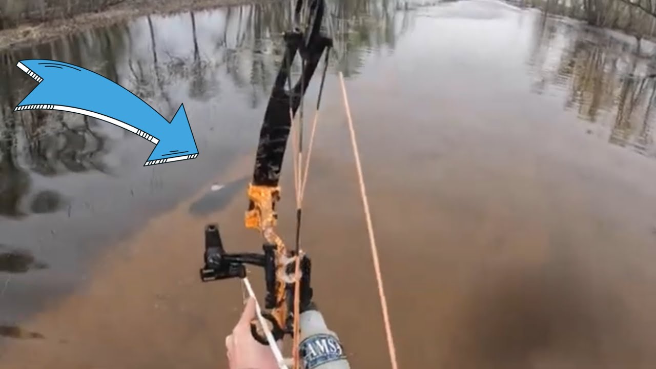 Bowfishing a Flooded Road (5ft shots)