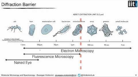 Time-Resolved STED Microscopy