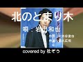 北のとまり木 / 岩出和也 杜ぞうカバー(原曲キー・歌詞付)2013年発売のヒット曲です!
