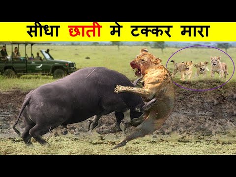 वीडियो: जर्मनी में श्वेत आबादी का उन्मूलन