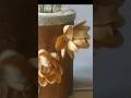 DIY Flower Vase from Spun Filter | #bestoutofwaste #diy #crafttutorial #homedecor #recycledart