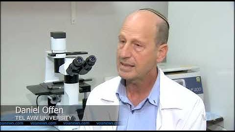 Stem Cells Get Paralyzed Mice Back on Their Feet