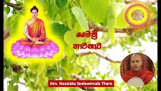 4. මෛත්‍රී භාවනාව - Ven. Hasalaka Seelawimala Thero.