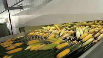 Corn cob sorting machine ZEA - TOMRA Sorting