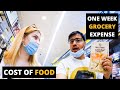 MY ONE WEEK GROCERY EXPENSE IN POLAND| Grocery Shopping in Poland| STUDY IN POLAND 🇵🇱