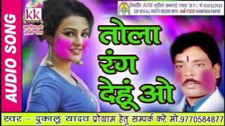 तोला रंग देहु ओ छत्तीसगढ़ी होली गीत   दुकालू यादव HIT  CG HOLI BSET SONG HD VIDEO 2017 AVM 9301523929