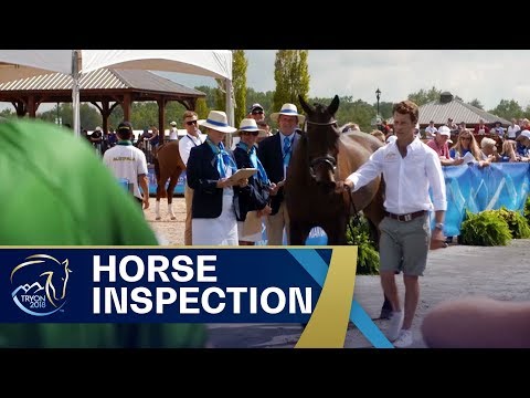 What is a Horse Inspection? Nick now knows | FEI World Equestrian Games 2018