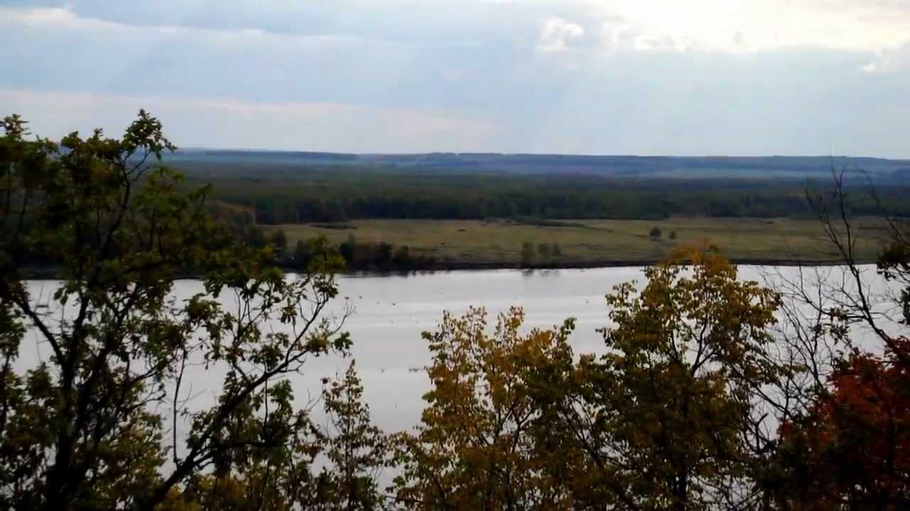 Сура впадает в волгу