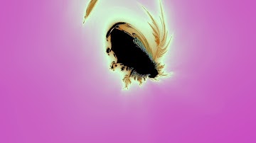 Mandelbrot turned to dust (Mandelbrot black hole but applied on z space) Request by Ben