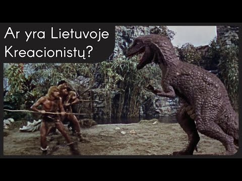 Video: Ar Havajuose yra lygiadienis?