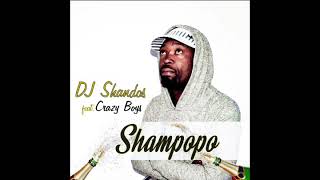 Dj Shandos feat crazy boys /shampopo