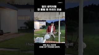 나만 이러는거 아니지..?