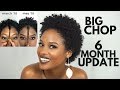 BIG CHOP STORY: 6 MONTH UPDATE || alyssa marie
