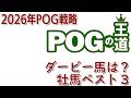 【POGの王道】POGドラフト直前情報「牡馬編」昨年はアウダーシアを推奨、今年はドラ2〜3位向け?