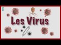 Quest ce quun virus  bases virologiques
