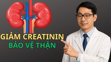 5 Chiến Lược Khoa Học Giúp Hạ Creatinin Và Bảo Vệ Thận – Làm Đúng, Thận Sẽ Tự Hồi Phục