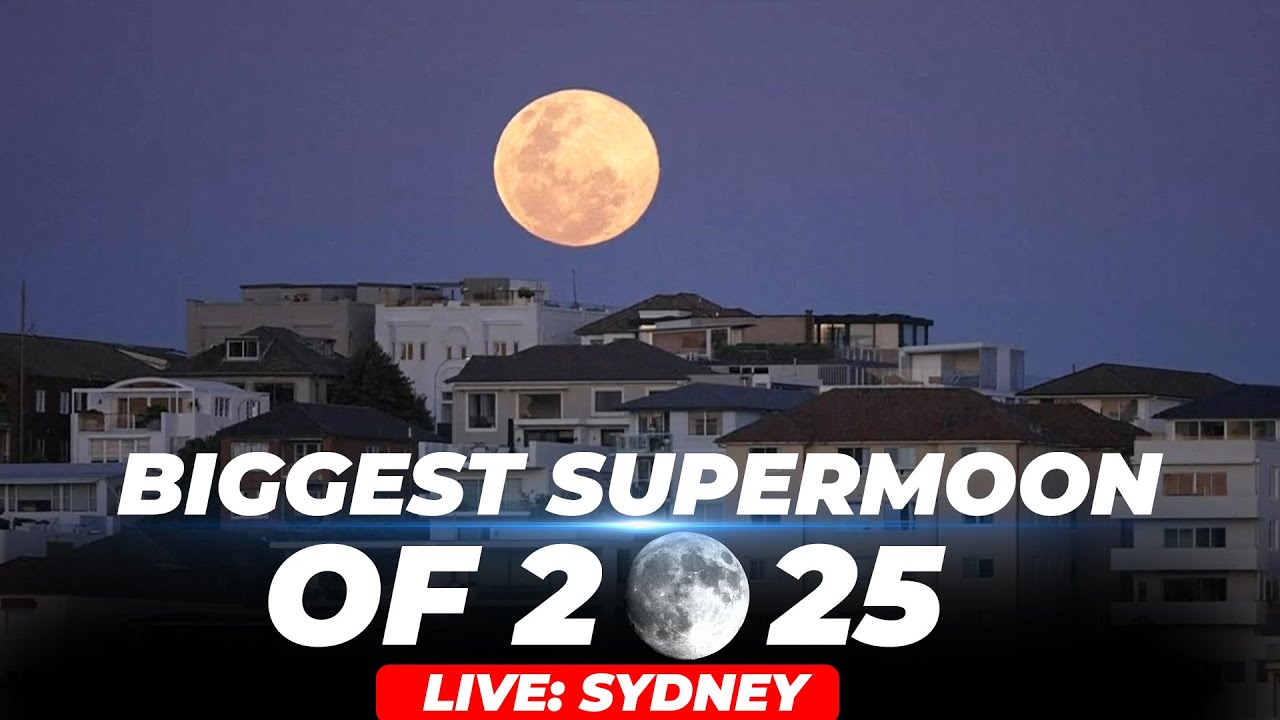 LIVE: Biggest Supermoon of 2025 I 'beaver' moon rises over Sydney's ...
