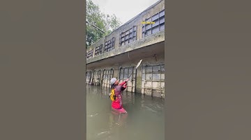 Cá Lớn - bắt Cá Trắm Khủng mắc kẹt bằng cây 😱 #khacthuyvlogg