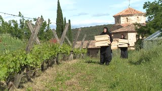 Ad'oc monastère de Solan dans le Gard : un paradis de l'agroécologie