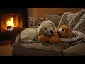 6 Hours Calming Music for Dogs 🐕 Storm &amp; Firework Anxiety Relief | Dog Stress Music
