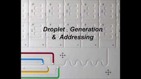 Journey of Droplets on a Chip (Microfluidic Droplet-Storage Array)