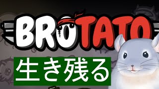 【Brotato】私はPOTATO・・・・・。銃持ってドンパチする着ぐるみチンチラ。/Fade【新人Vtuber】