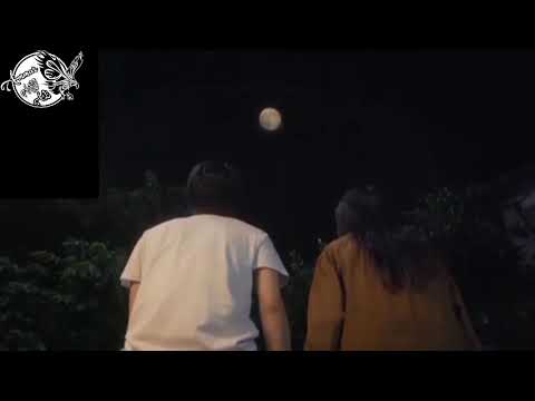 روحي يا نسمه جورج وسوف حالات واتس اب جورج وسوف سلطان الطرب جورج وسوف ستوريات حب تصاميم