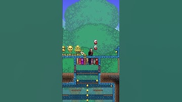 How to Create an AWESOME and ORGANIZED Storage House in Terraria