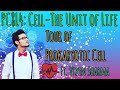 PC8L4: Tour of Prokaryotic Cell ft. Vipin Sharma | Prayaas Batch for NEET