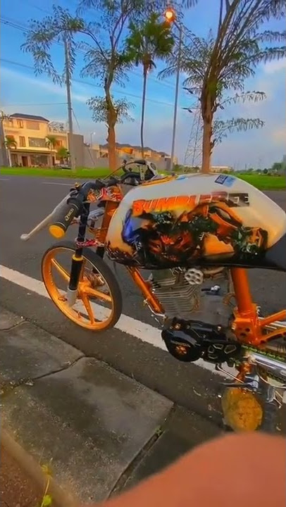 storywa tiger trondol terbaru || herex tiktok instagram viral #storywa #herex #tiktok