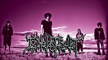 TO THE LAST BULLET - Fed Through A Woodchipper [To The Last Bullet Demo EP - 2009]