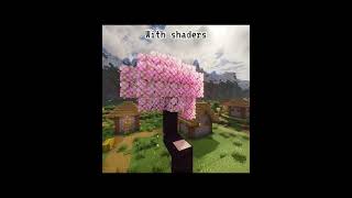 Without And With Shaders