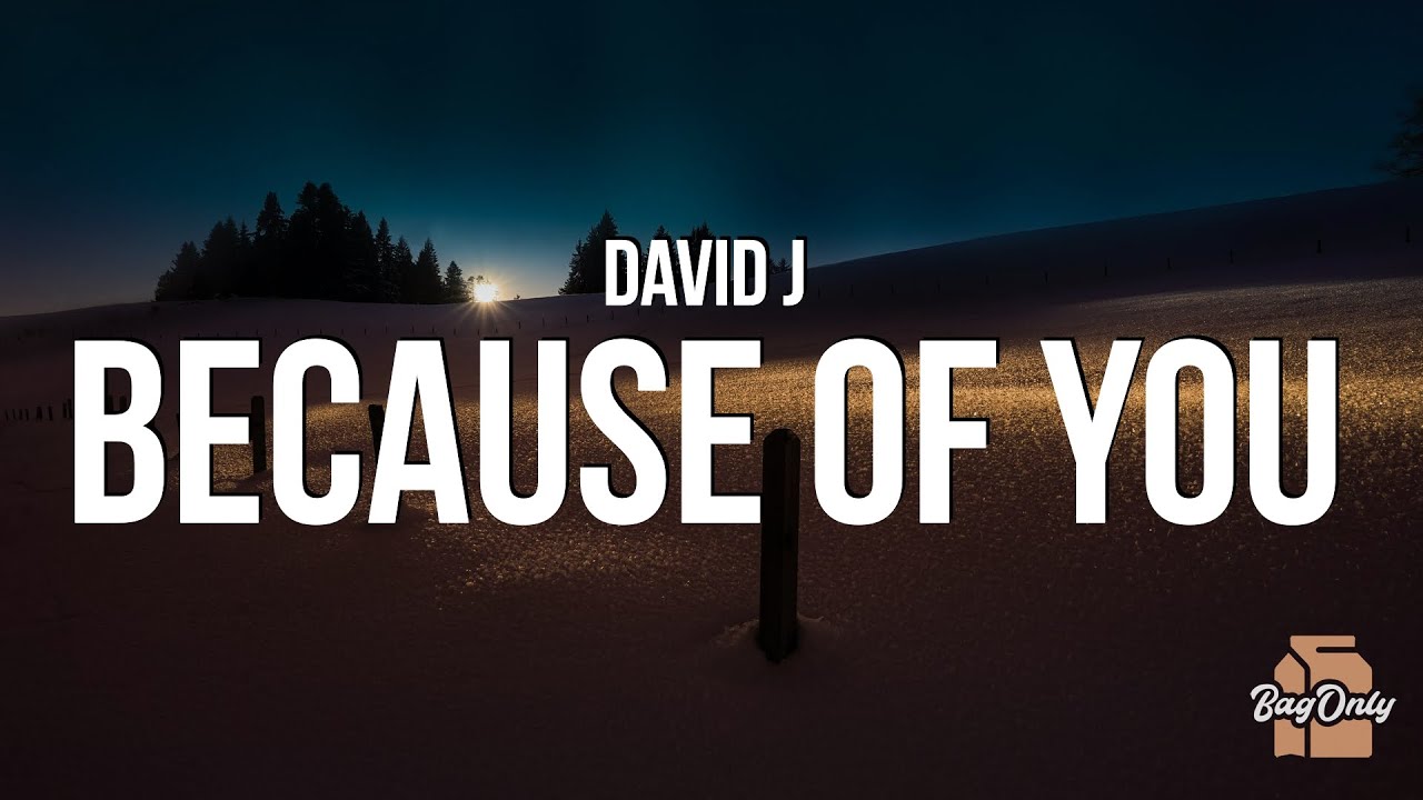 David J - Because of You (Lyrics) "it's the way we talk all night till 3"