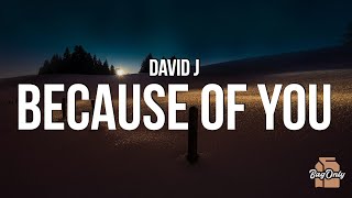 David J - Because of You (Lyrics) \
