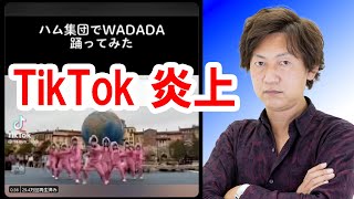 ラジオ風雑談 シーで集団ダンス動画を収録 Tiktokにあげて大炎上 謝罪 22 04 東京ディズニーリゾート Youtube