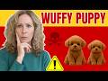 🐶 Wuffy Robot Puppy Bewertung 🤔 Warum wollen alle dieses Spielzeug? - Wuffy Bewertung