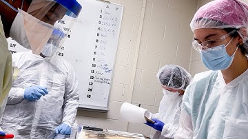 Patients’ Selfless Contributions After Death Unlock Mysteries of Cancer