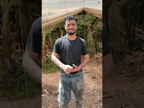الحرارة 86 فهوارة