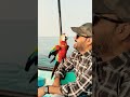 Unexpected guest… and it’s LOUD! 🦜😂 A colorful parrot just landed on my shoulder! 🦜😲 #parrot #shorts
